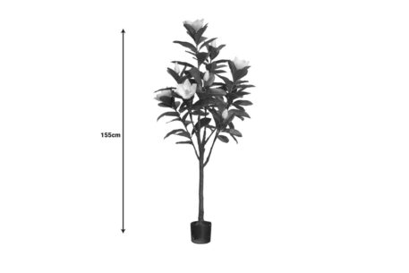 IPAK8804.1 - Image 2