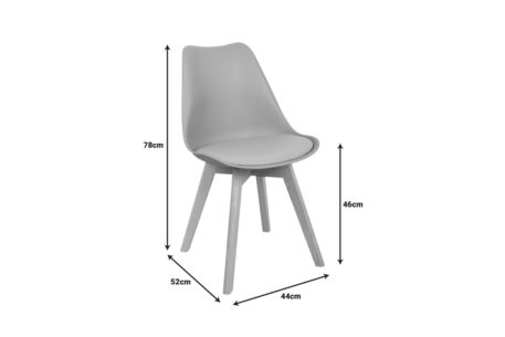 IPAK2009.4 - Image 2