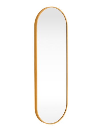 IPAK8243.1